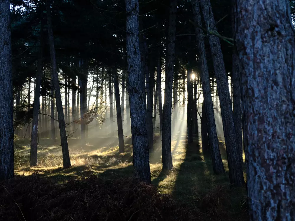 Feddet Strand Resort 5 Stelle★★★★★