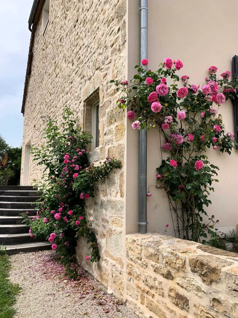 Gîte de France An den Quellen des Himmels 4 Ohren