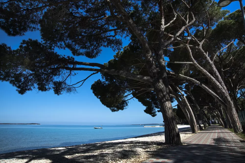 Camping Bi Village 5 Sterren★★★★★