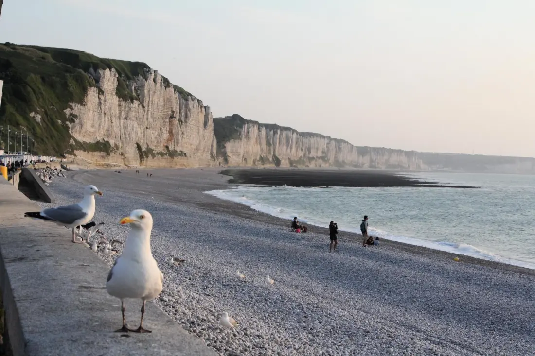Gîte de France Gîtes de france® - a jó francia tündér 3 fül