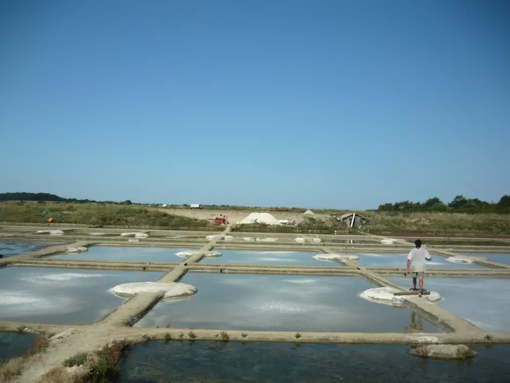 VILAINE RIVES 2 Csillagok★★