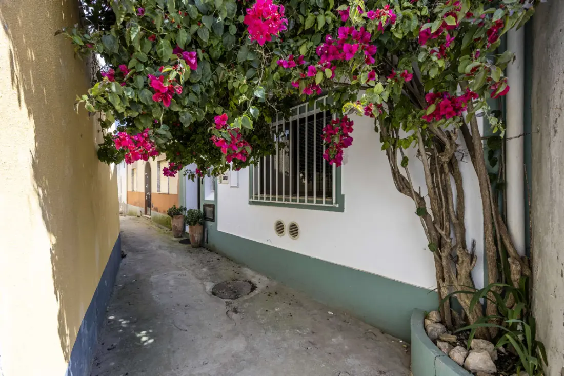 Casa Emma