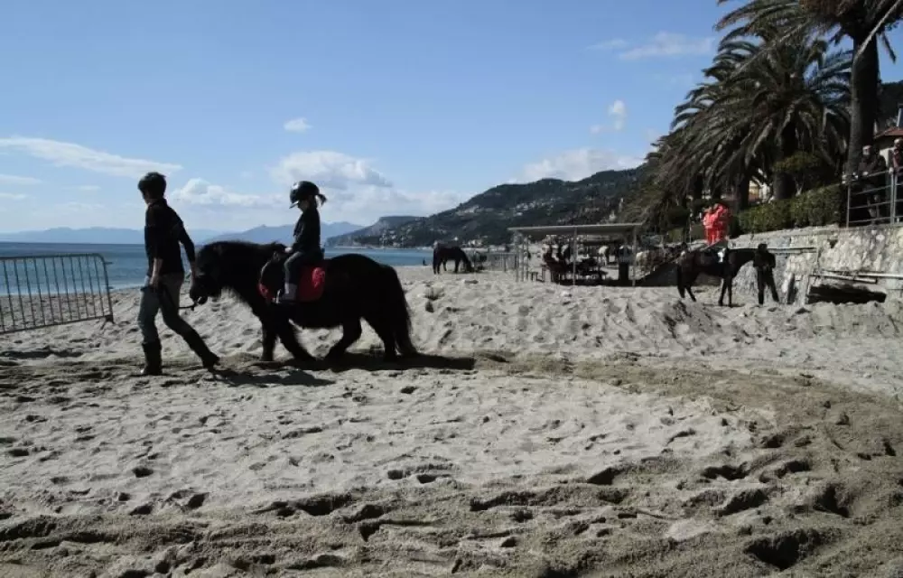 Il Villaggio di Giuele - Eurocamping Calvisio 3 Sterne★★★