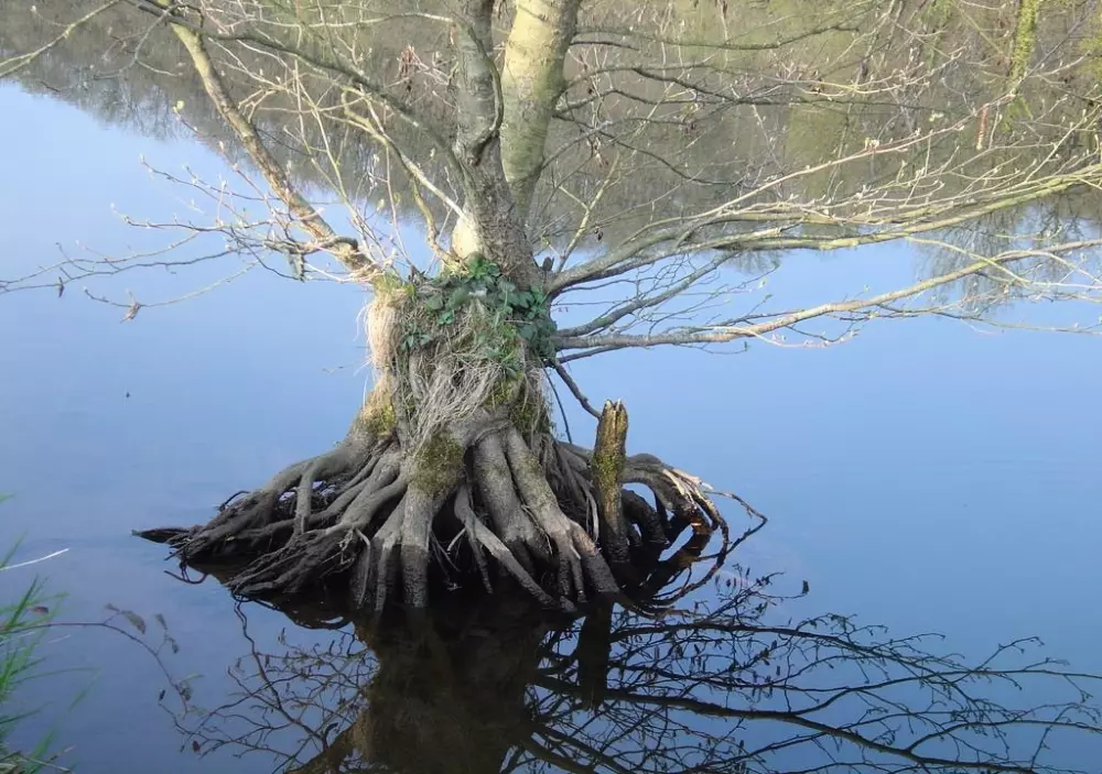 Ushuaïa Villages - Camping Le Port de Lacombe 3 Sterren★★★