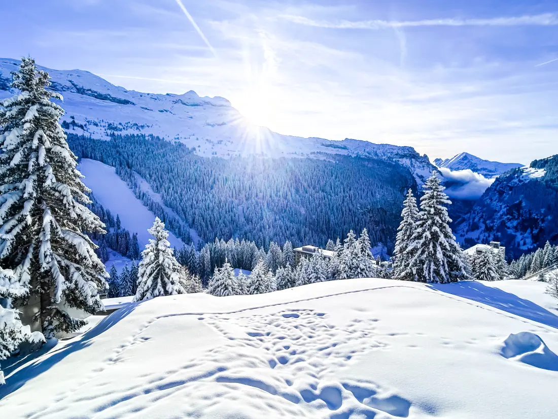 Apartmanok Flaine