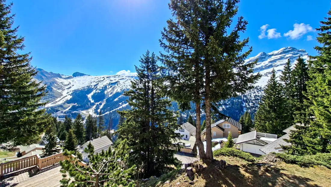 Chalet De L'arbaron
