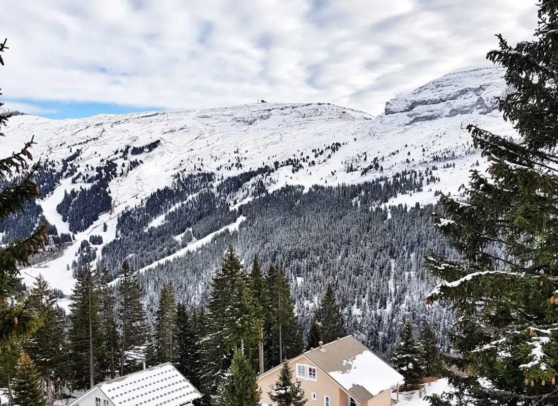 Chalet De L'arbaron