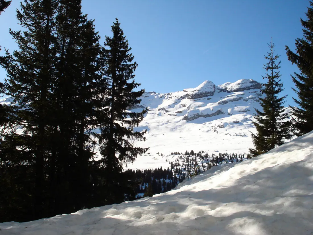 Chalet De L'arbaron