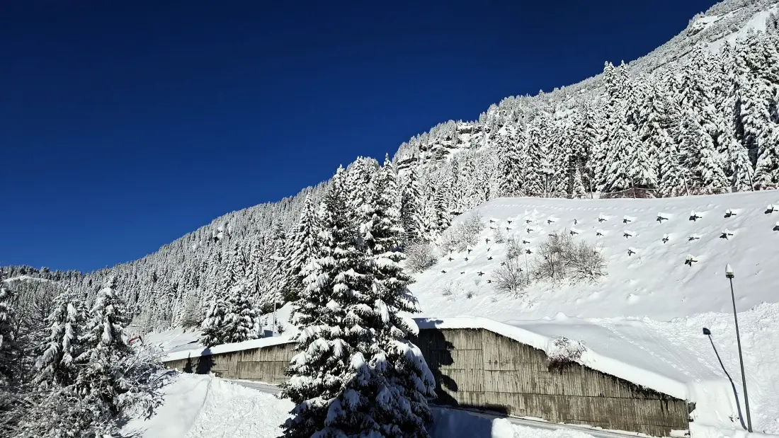 Residence De La Foret