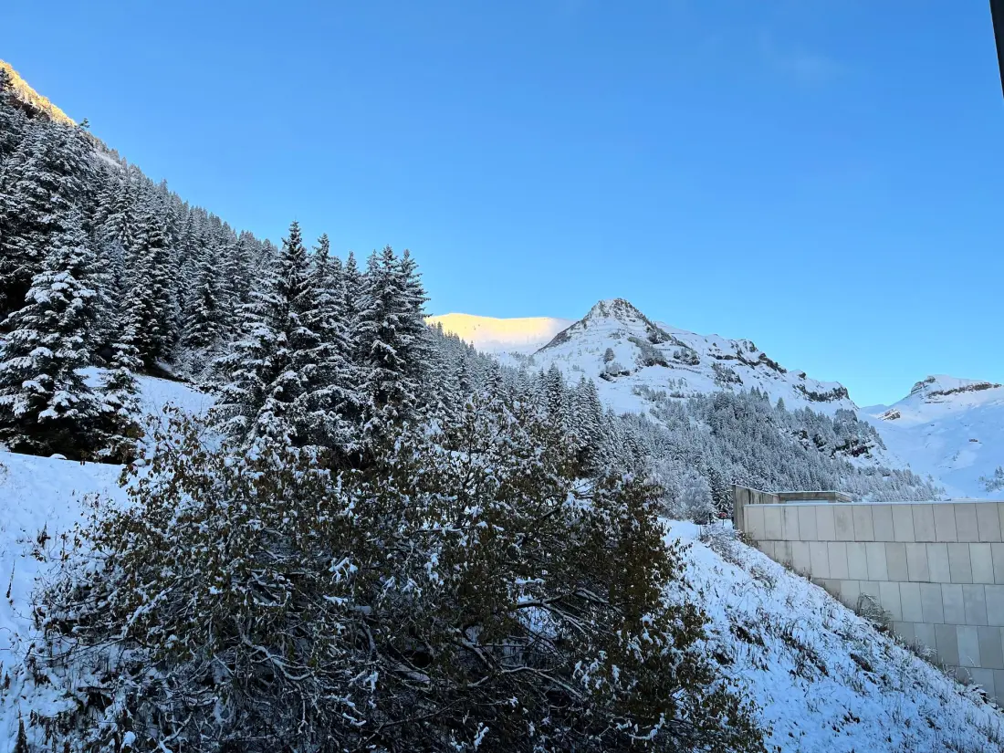La Petite Ourse rezidencia