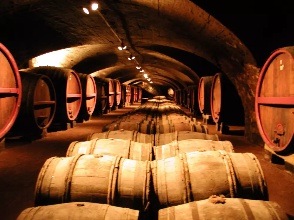 Camping La Grappe Fleurie