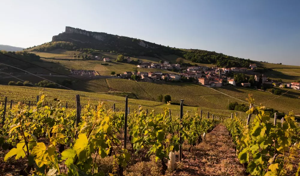 Camping La Grappe Fleurie