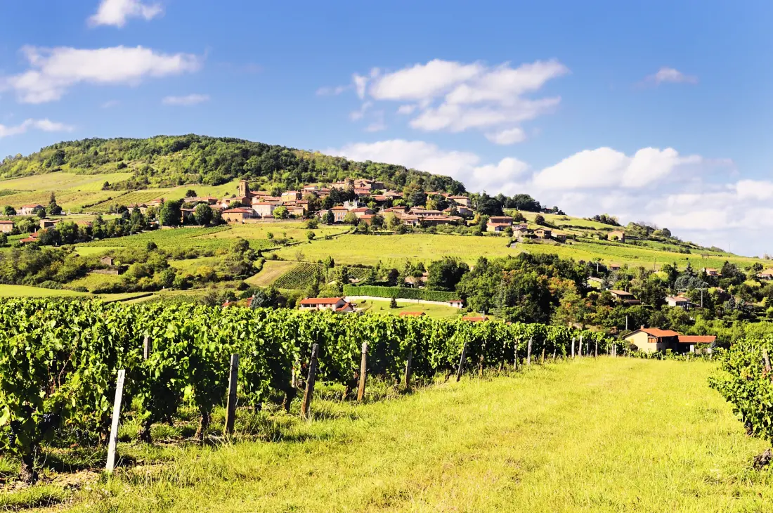 Camping La Grappe Fleurie