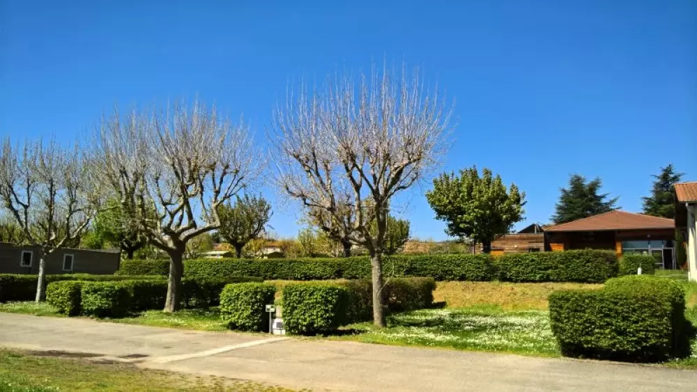 Camping La Grappe Fleurie