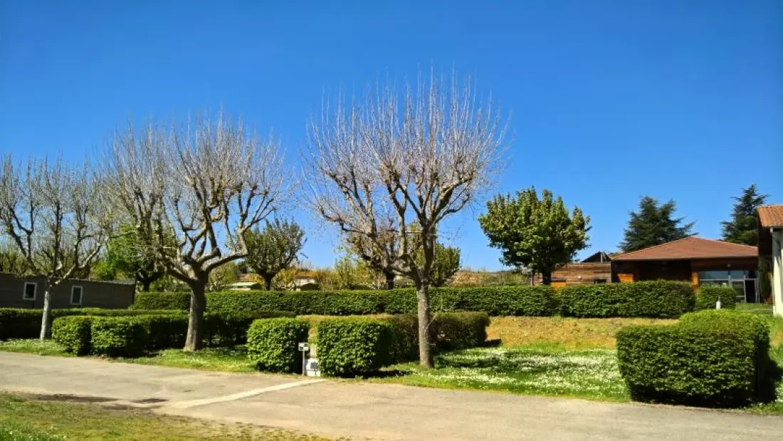 Camping La Grappe Fleurie