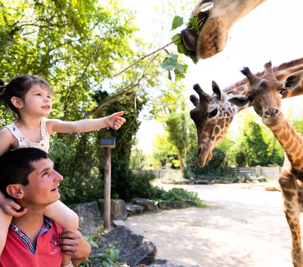 Camping La Grappe Fleurie