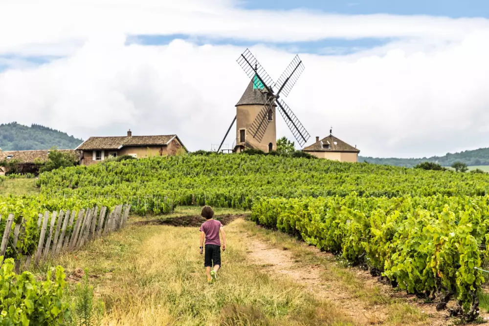 Camping La Grappe Fleurie