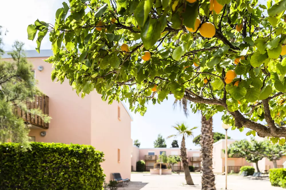 Üdülőház ULVF - Les Girelles 3 Csillagok★★★