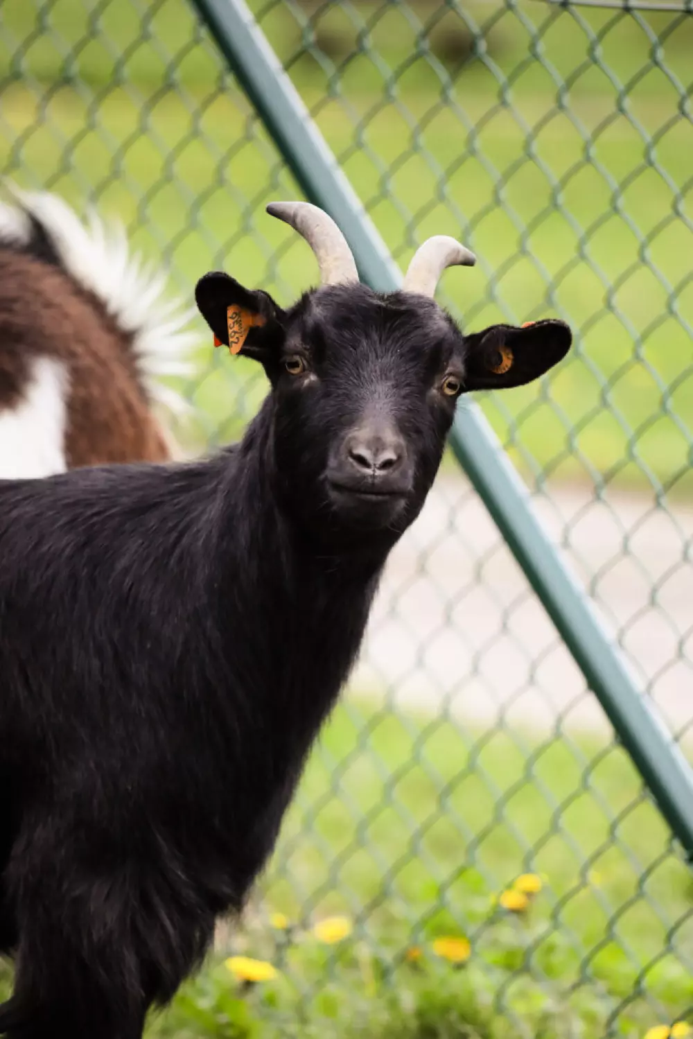 Campsite Le Florenville 3 Csillagok★★★