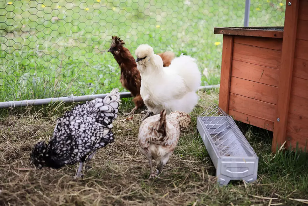 Campsite Le Florenville 3 Csillagok★★★