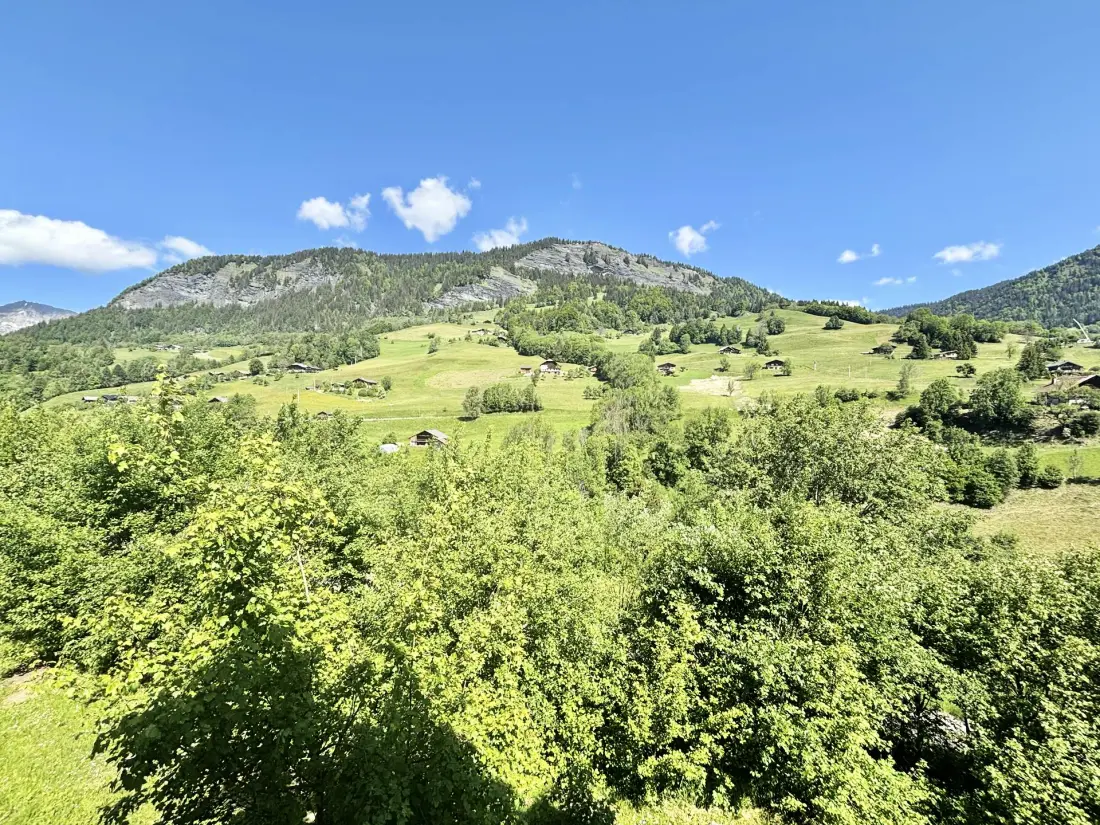 Chalet Des Evettes