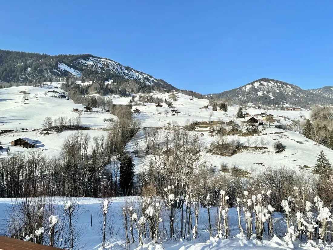 Chalet Des Evettes