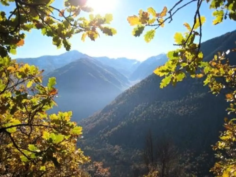 Campsite DU LAC 4 Stars★★★★