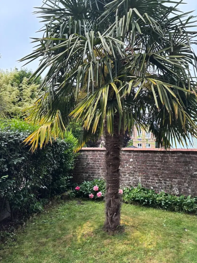 Gîte de France Gîtes de france® - gîte du don 3 épis