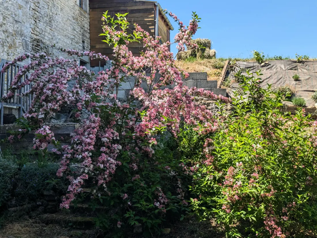Gîte de France Die brillanten 3 Ohren