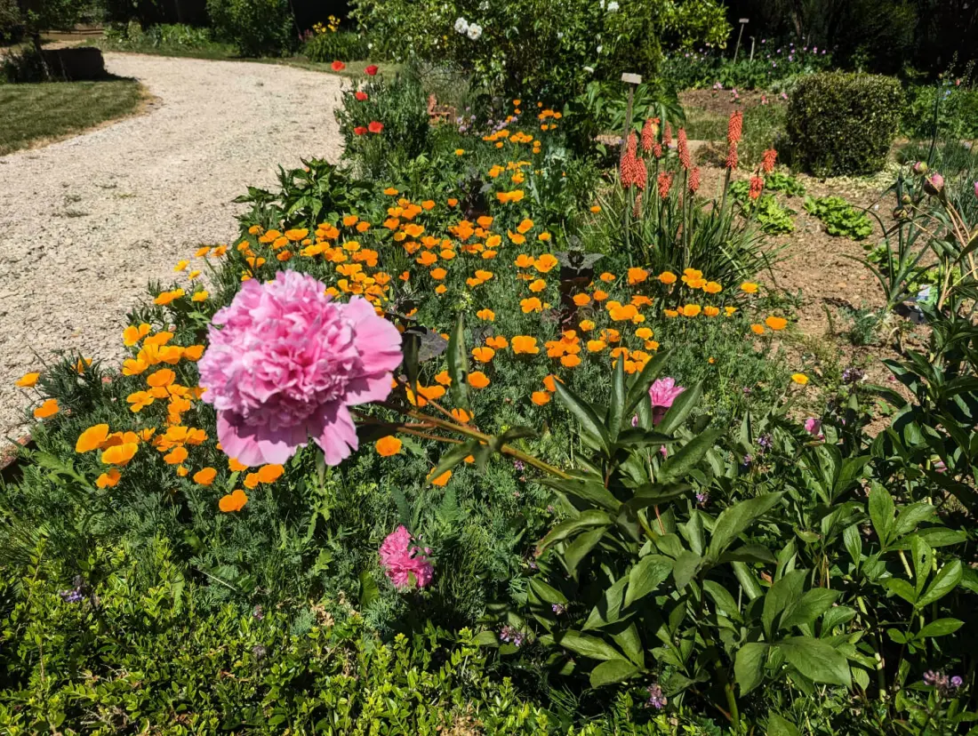 Gîte de France Die brillanten 3 Ohren