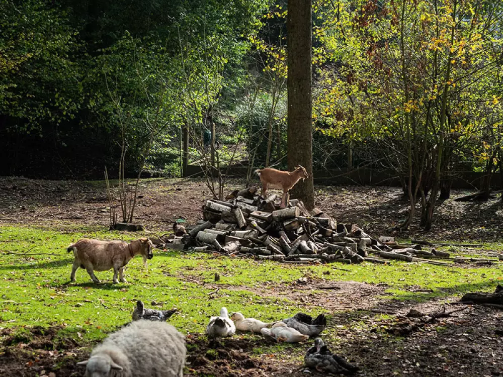 VVF Forges-Les-Eaux 3 Stars★★★