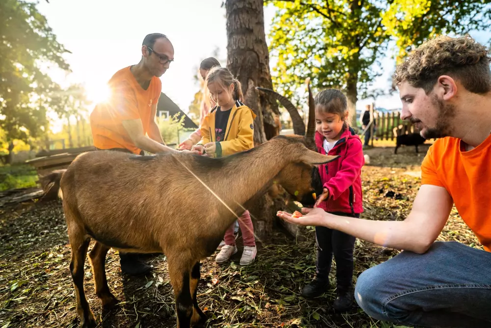 VVF Forges-Les-Eaux 3 Stars★★★