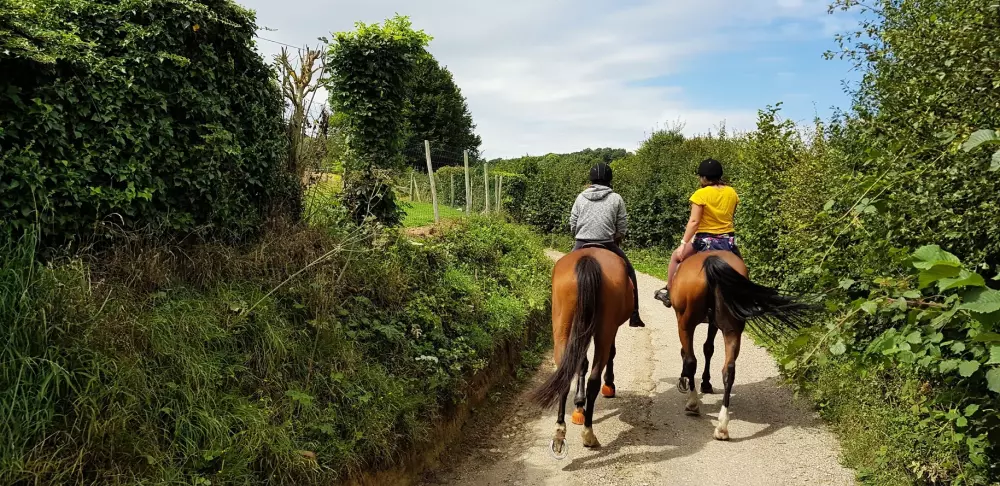 VVF Forges-Les-Eaux 3 Stars★★★