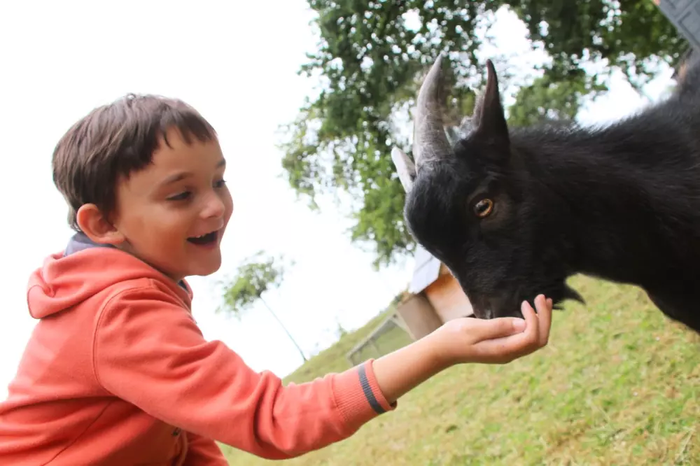 VVF Forges-Les-Eaux 3 Stars★★★