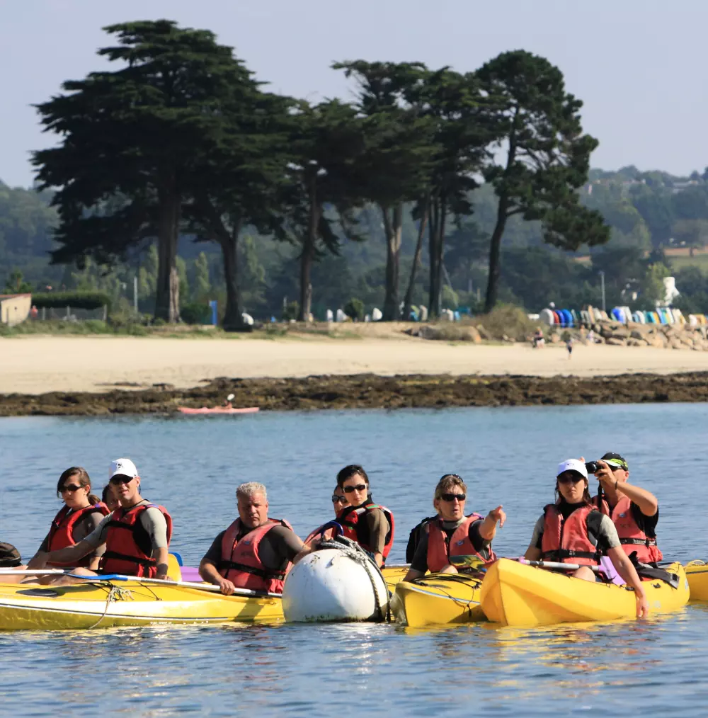 Camping Kerscolper3 Stjerner★★★