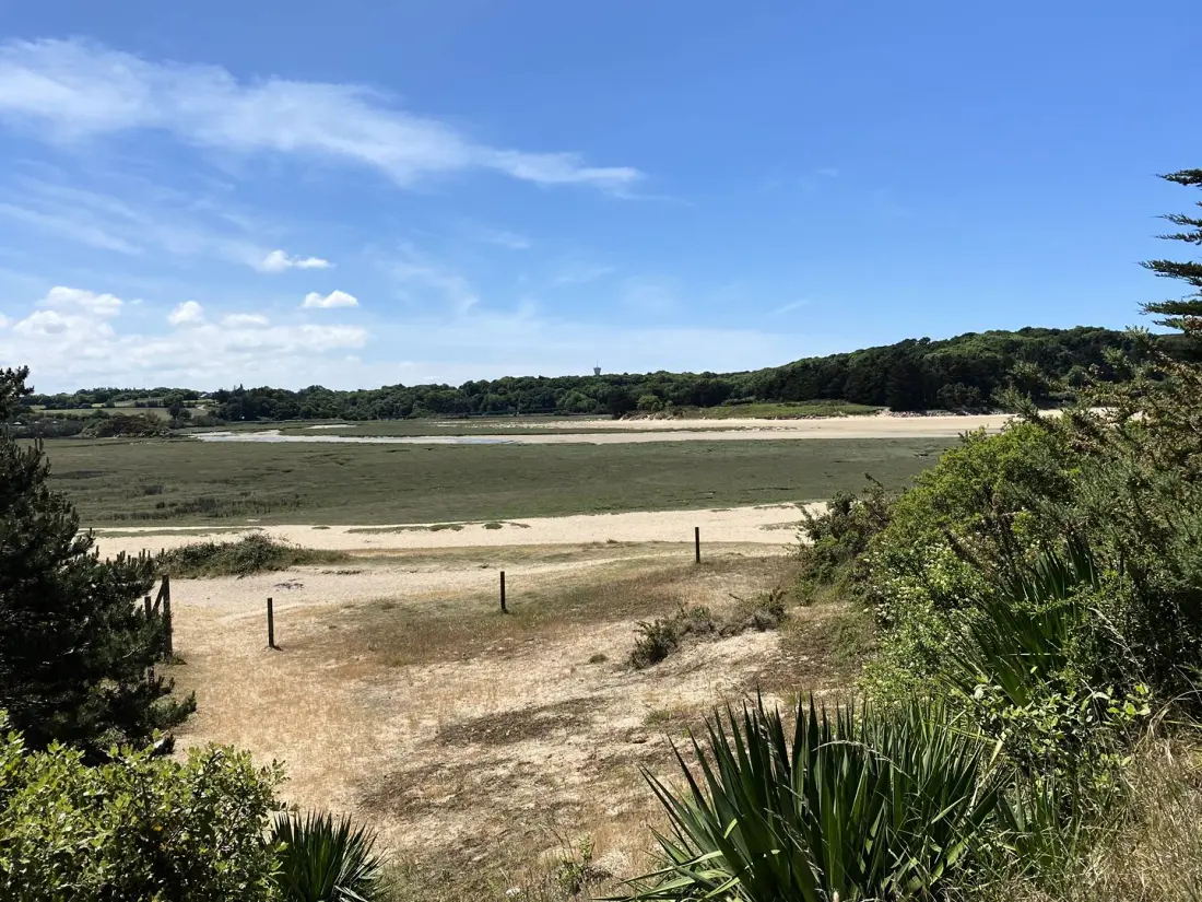 Residentie Les Dunes D'or