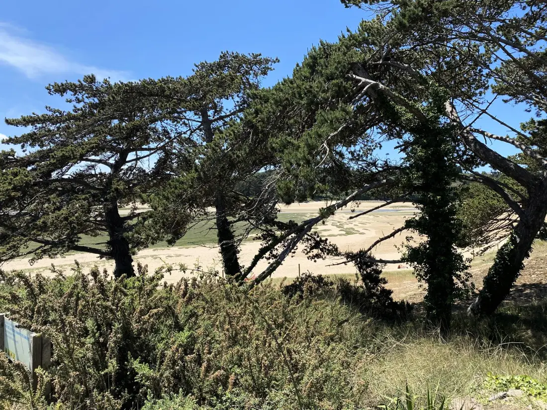 Residentie Les Dunes D'or