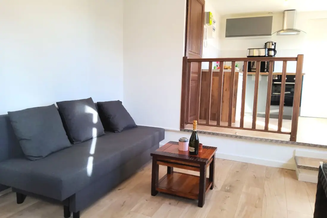Apartment Lumineux Plein Centre