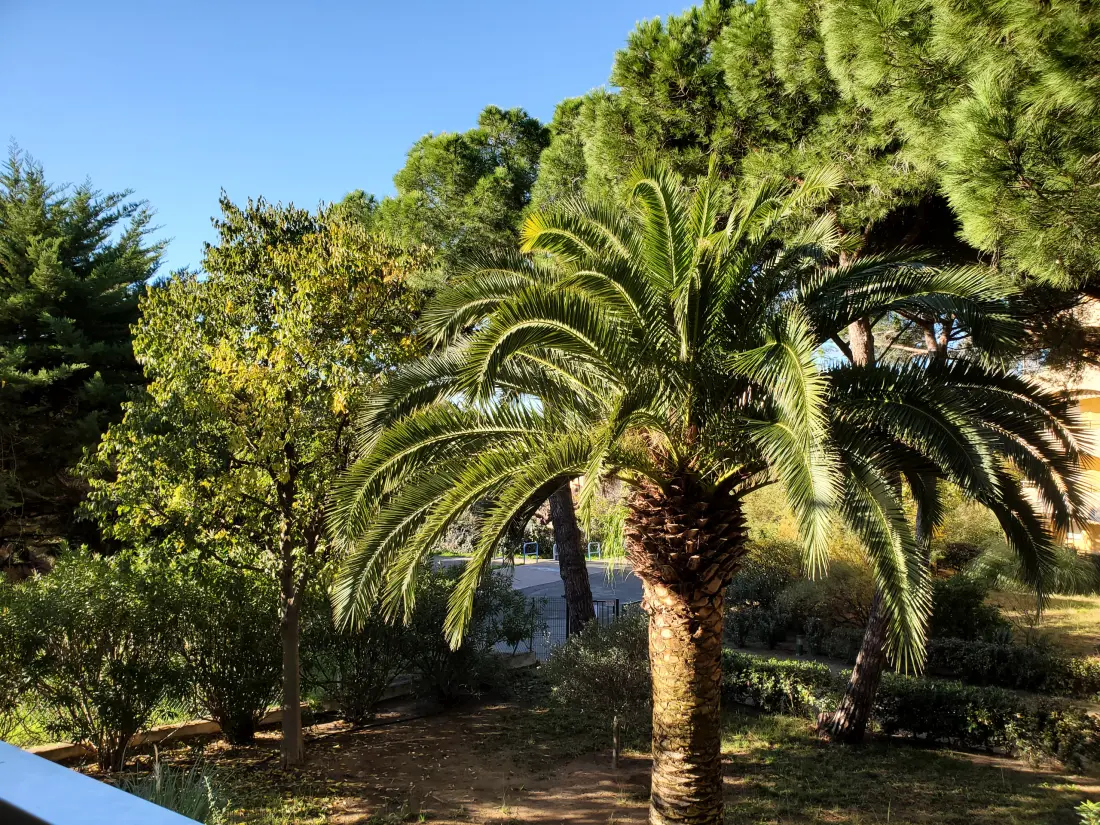 Apartmanok Fréjus - Port Fréjus