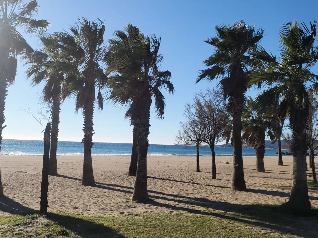 Ferienwohnungen in Fréjus - Port Fréjus