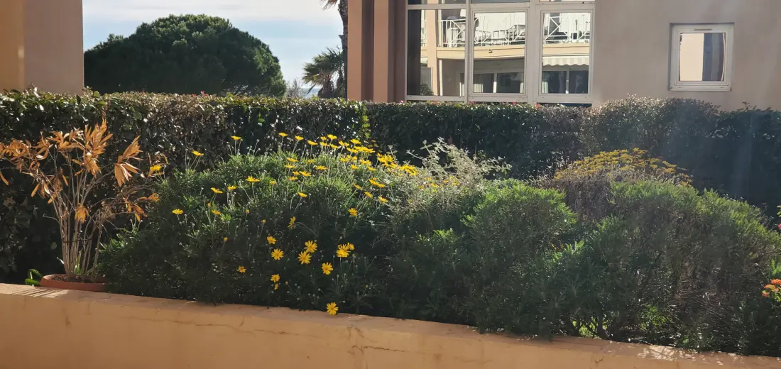 Appartamenti a Fréjus - Port Fréjus