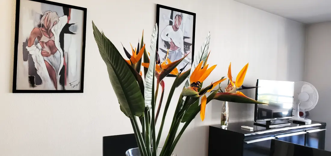 Apartmanok Fréjus - Port Fréjus