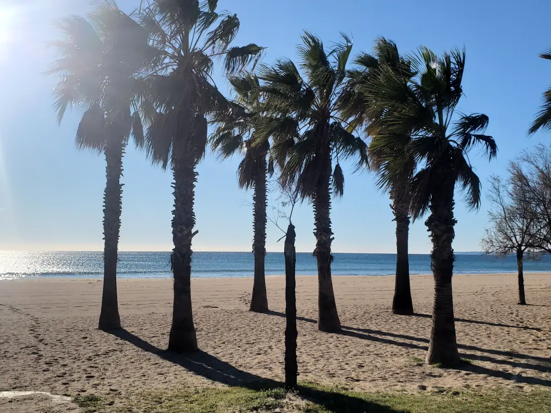 Apartmanok Fréjus - Port Fréjus
