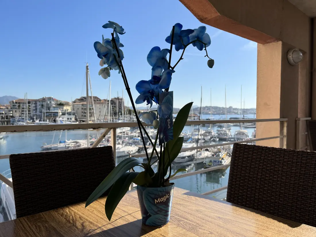 Appartementen in Fréjus - Port Fréjus