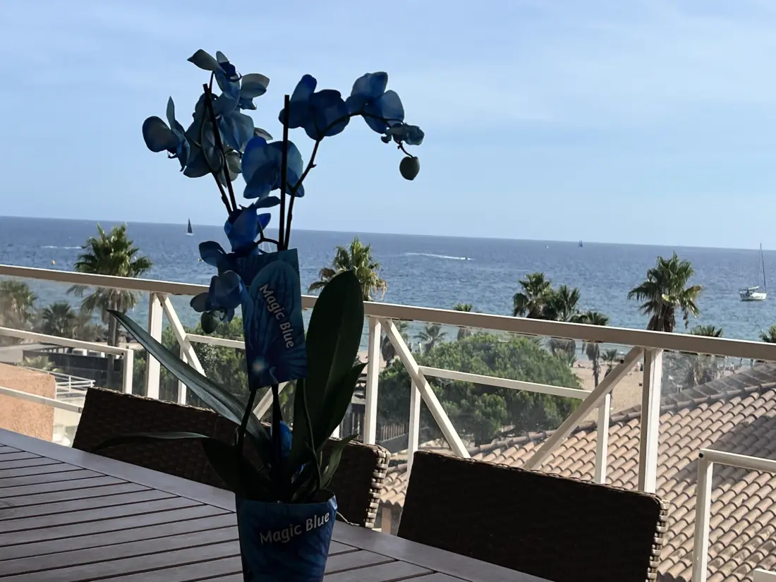 Apartmanok Fréjus - Port Fréjus