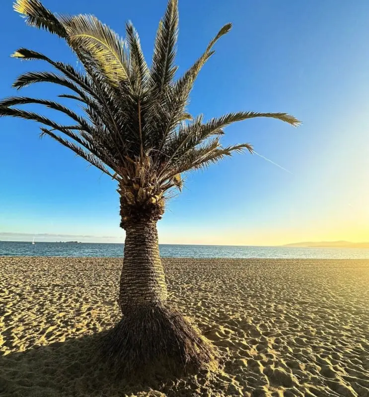 Appartement 4pers - Directe toegang tot La Plage/Fréjus