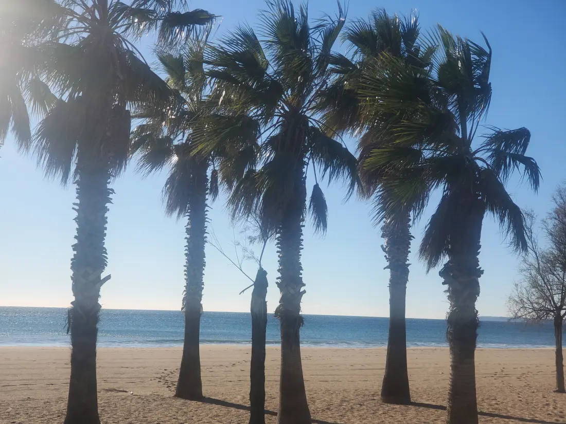 Stúdió Fréjusban - Port Fréjus