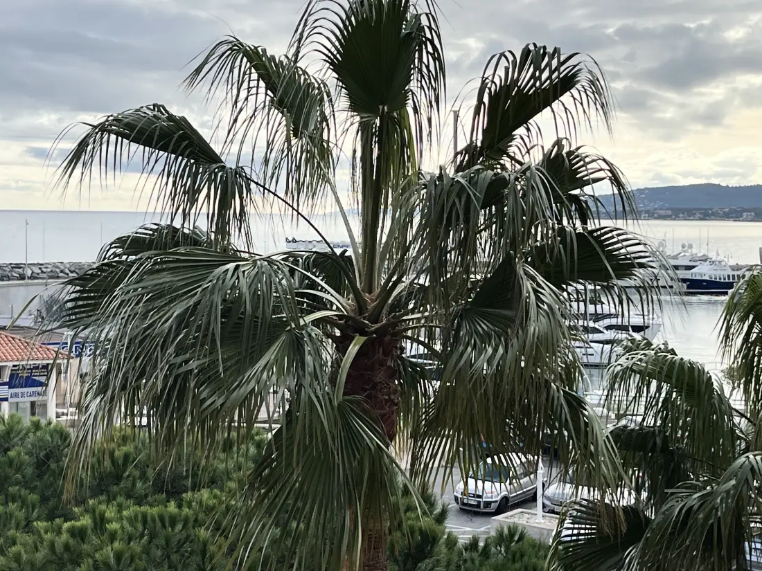 Stúdió Fréjusban - Port Fréjus