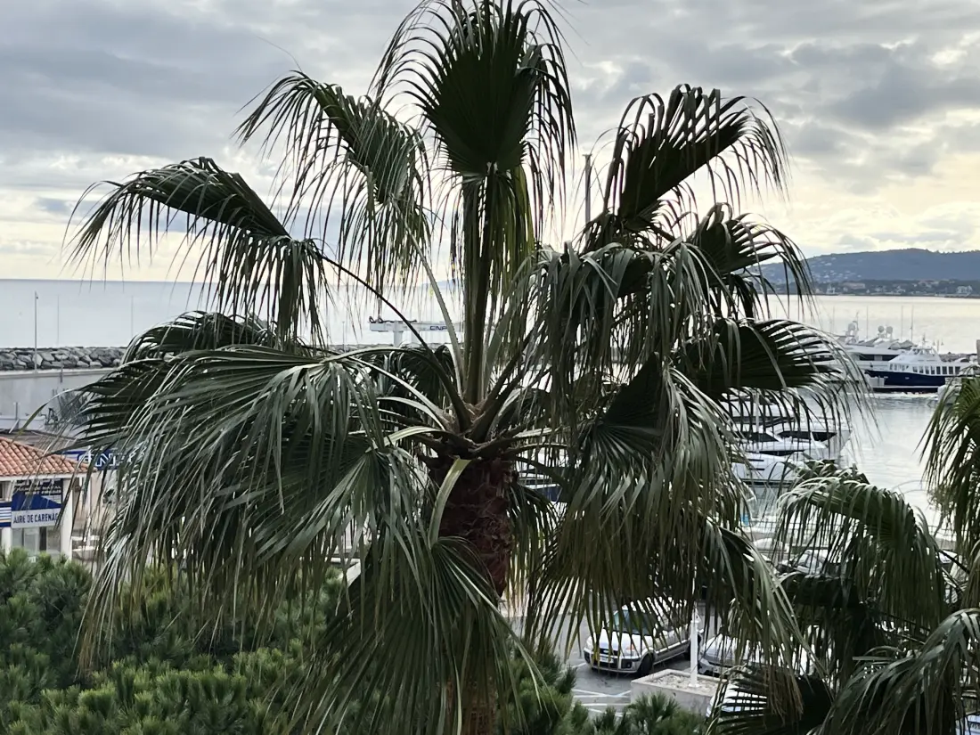 Stúdió Fréjusban - Port Fréjus