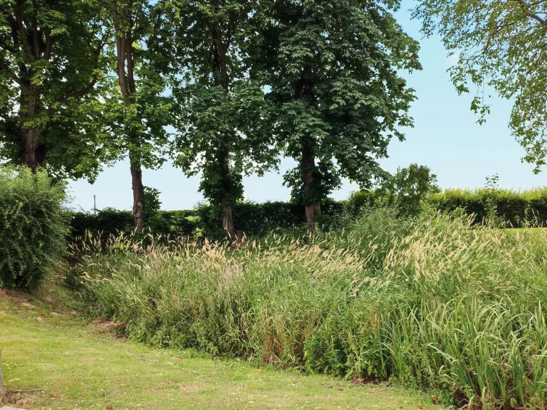 Gîte de France Gîtes de france® - gesztenye fák 3 fül